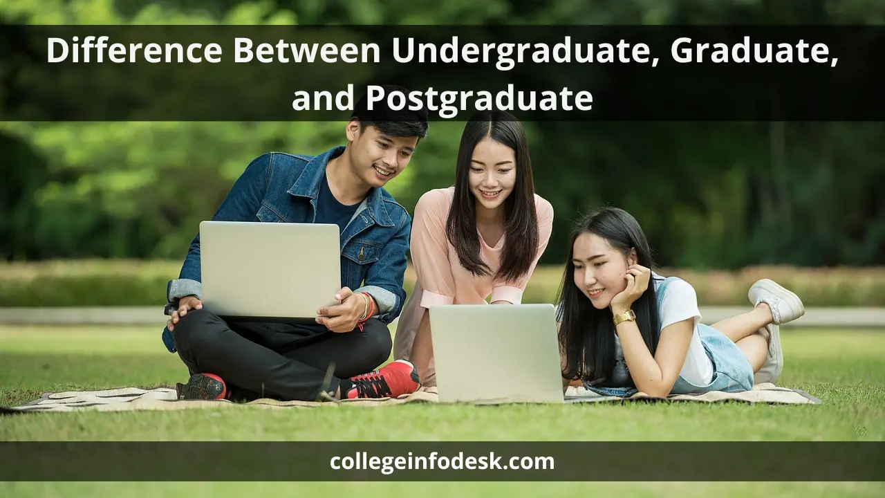 Difference Between Undergraduate, Graduate, and Postgraduate