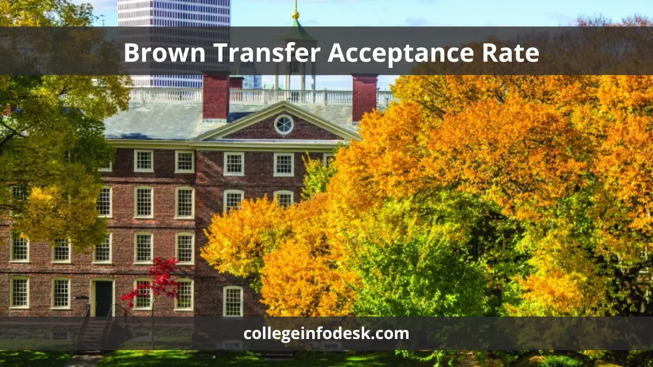 Brown Transfer Acceptance Rate 2024 Strategies and Insights for