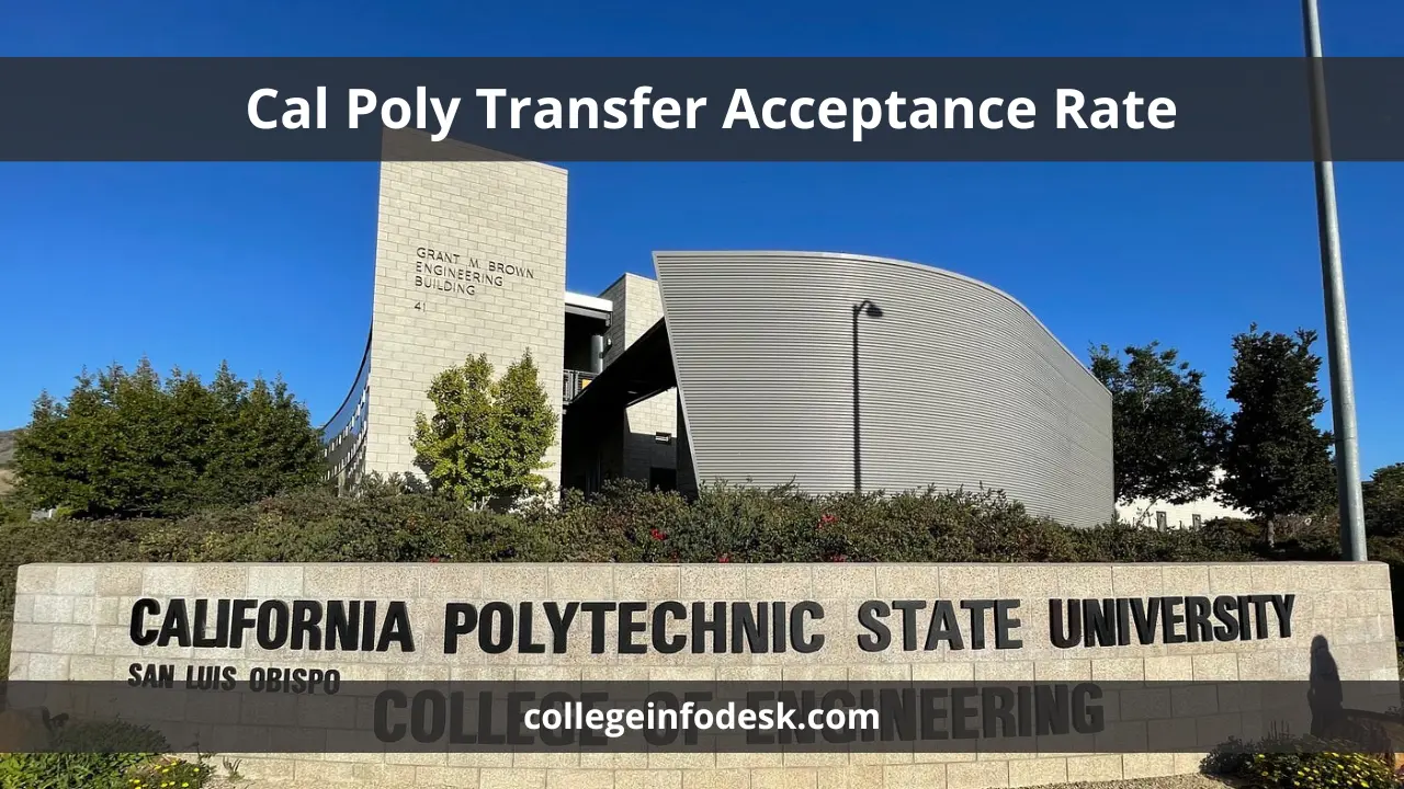 Cal Poly Transfer Acceptance Rate 2024 Strategies and Insights for