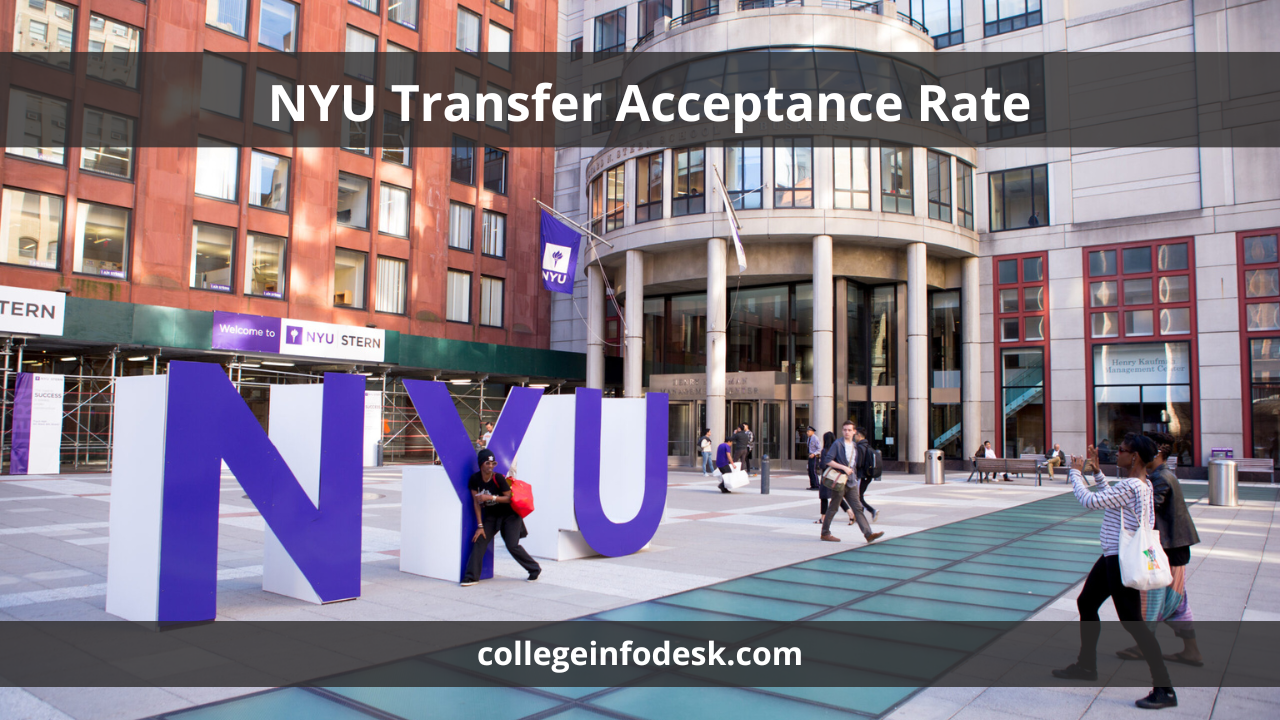 NYU Transfer Acceptance Rate 2024 Strategies and Insights for Success