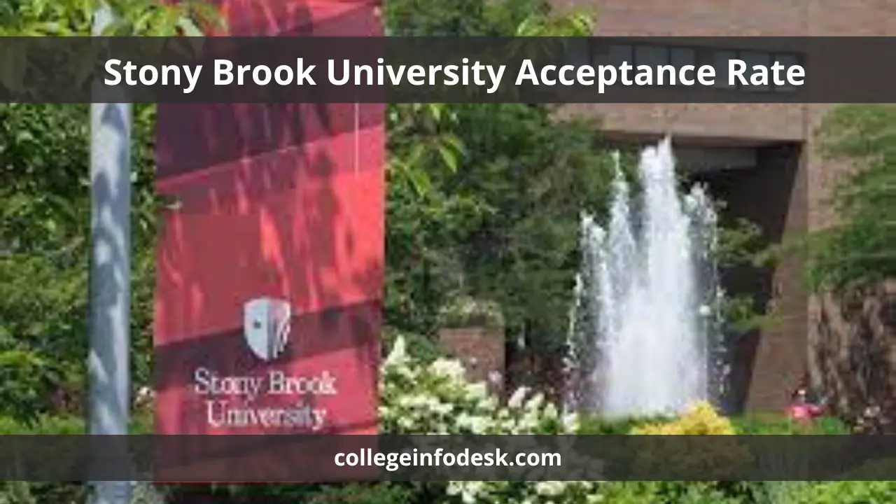 Stony Brook University Acceptance Rate Strategies and Insights for