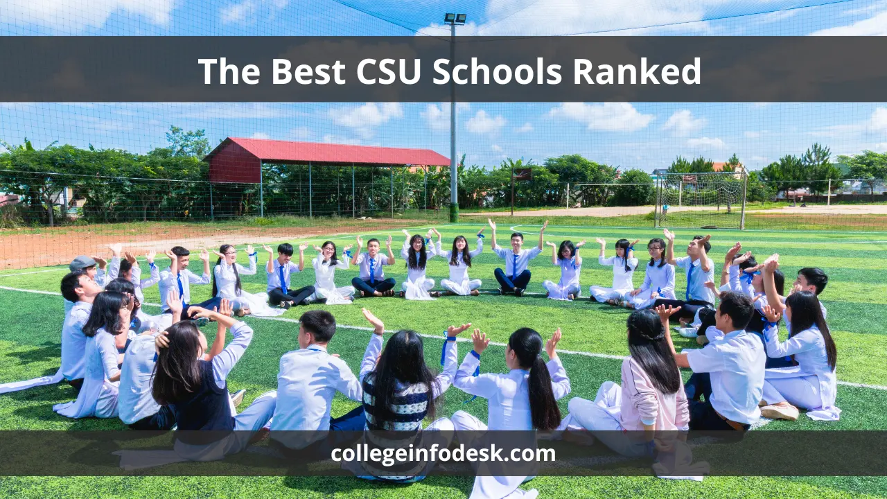 The Best CSU Schools Ranked