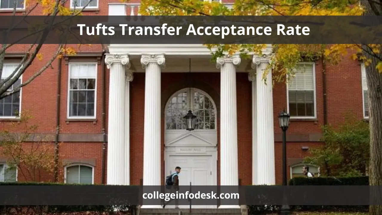 Tufts Transfer Acceptance Rate 2024 Strategies and Insights for