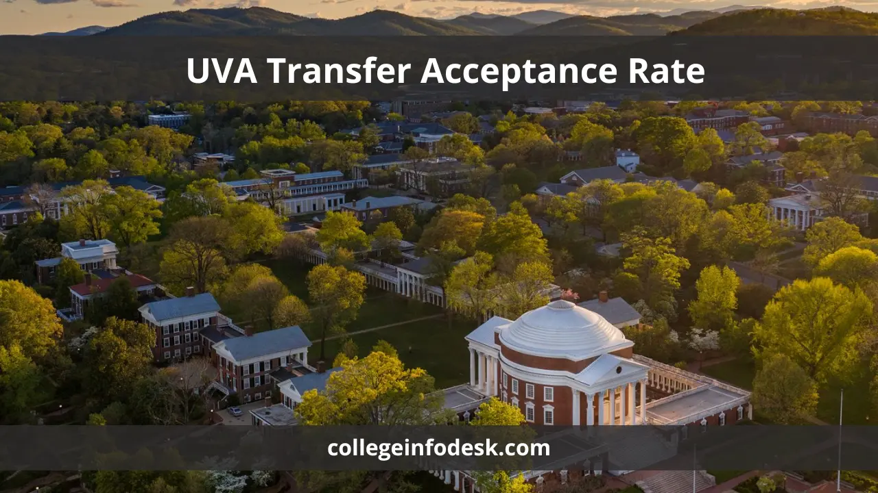 UVA Transfer Acceptance Rate 2024 Strategies and Insights for Success