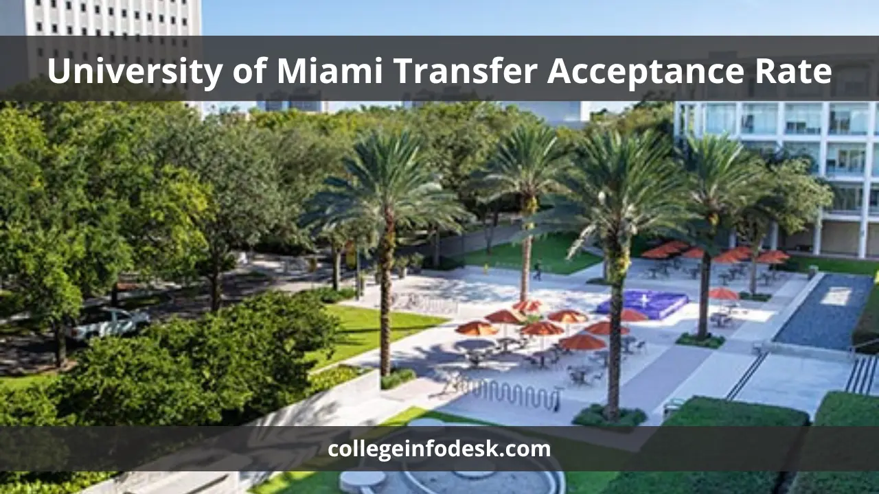 University of Miami Transfer Acceptance Rate