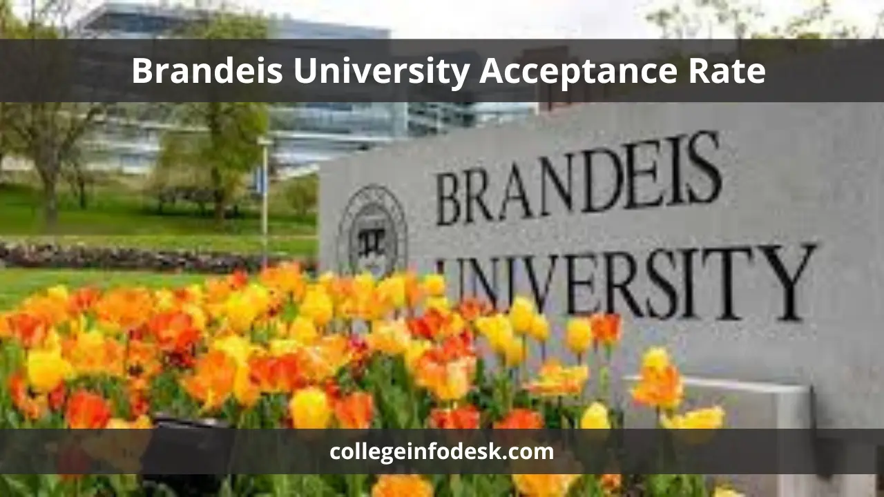 Brandeis University Acceptance Rate
