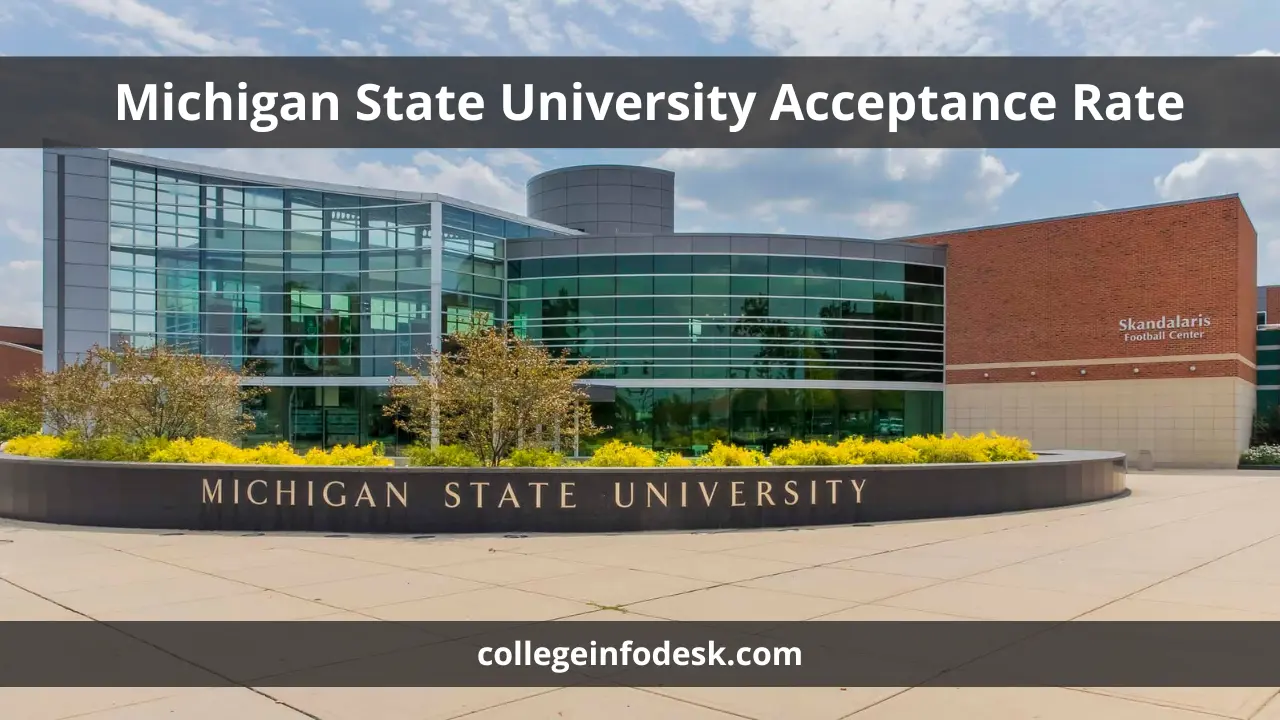 Michigan State University Acceptance Rate Strategies and Insights for