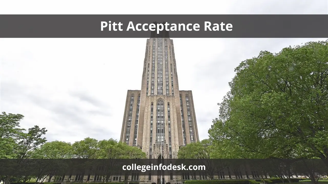 Pitt Acceptance Rate