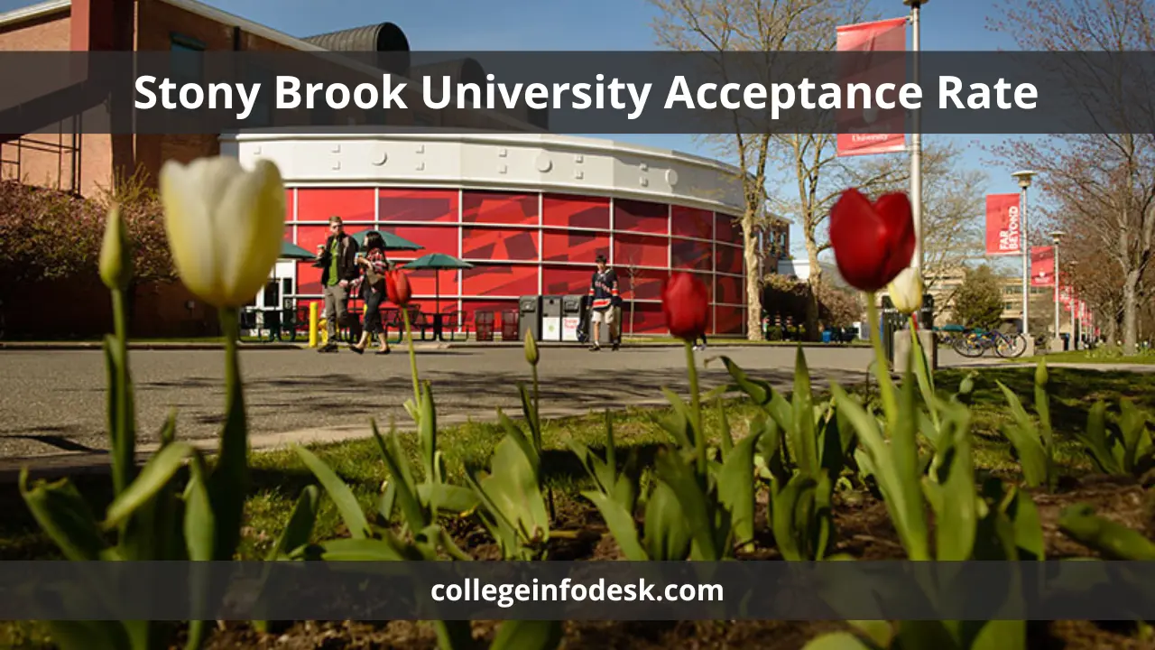 Stony Brook University Acceptance Rate