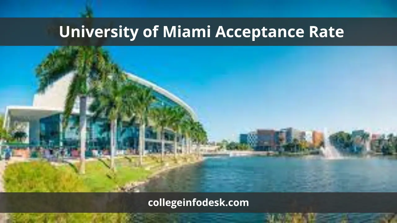 University of Miami Acceptance Rate Strategies and Insights for