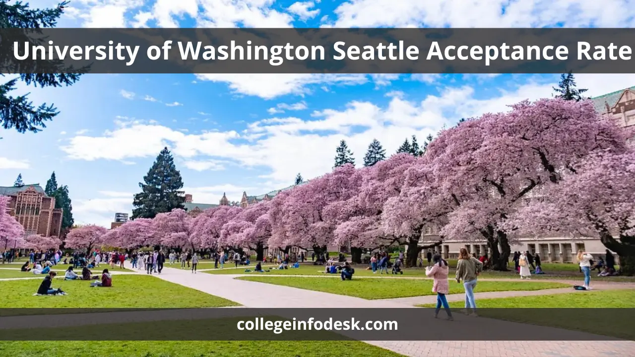 University of Washington Seattle Acceptance Rate