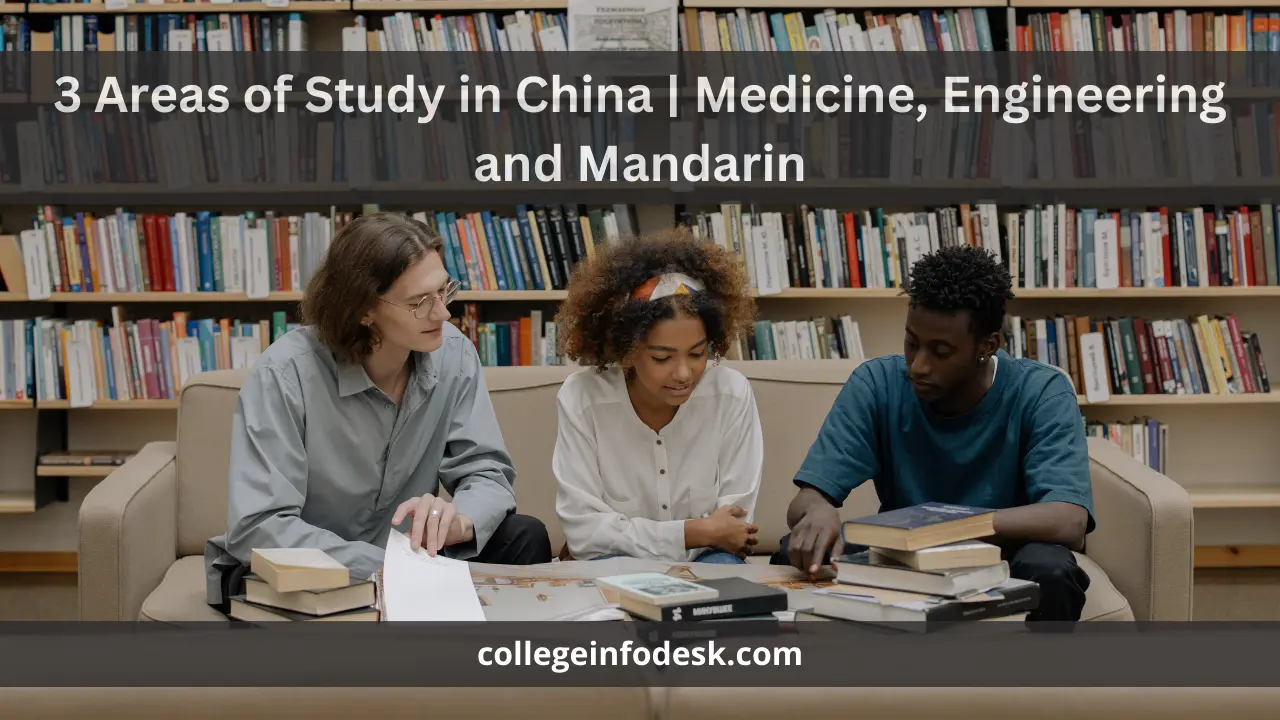 3 Areas of Study in China Medicine, Engineering and Mandarin