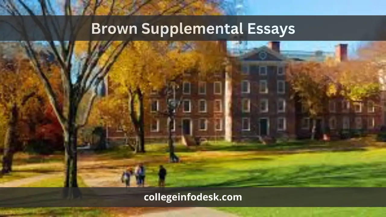 Brown Supplemental Essays