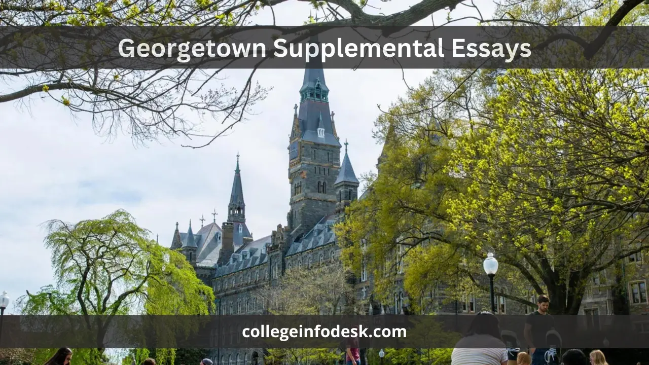 Georgetown Supplemental Essays