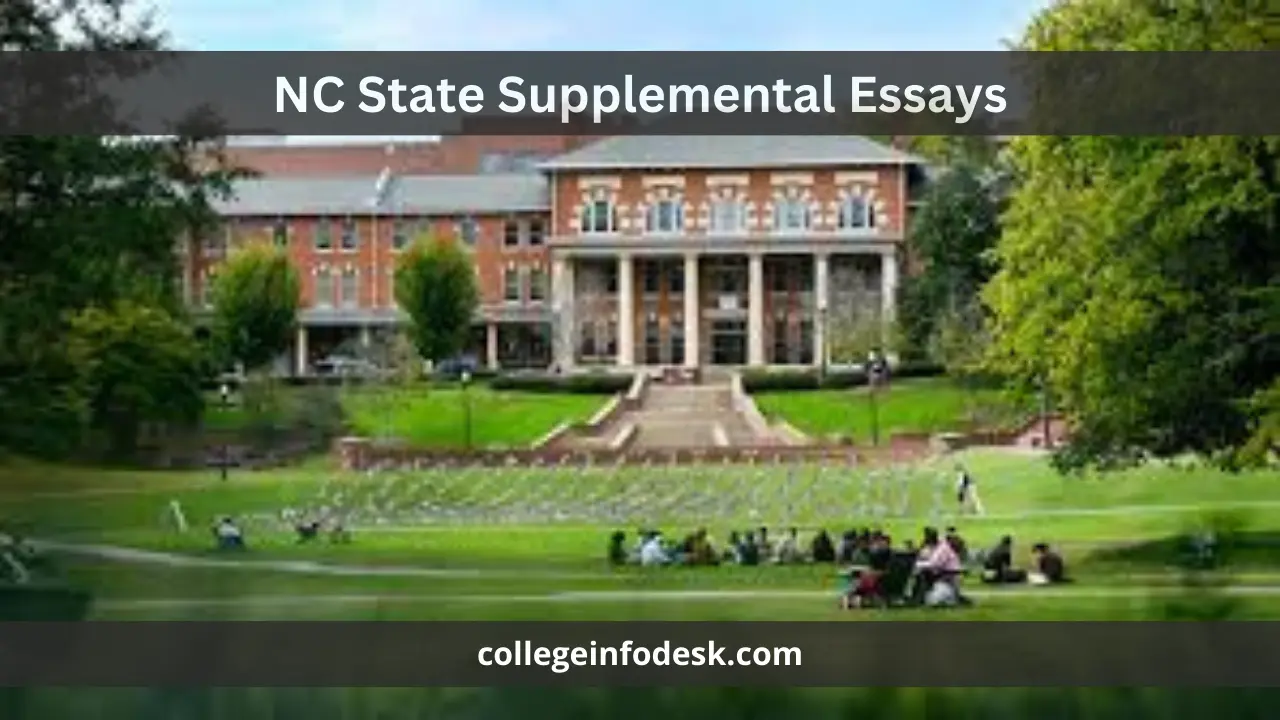 NC State Supplemental Essays