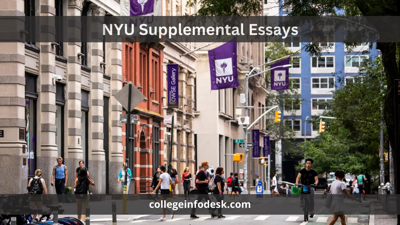 NYU Supplemental Essays