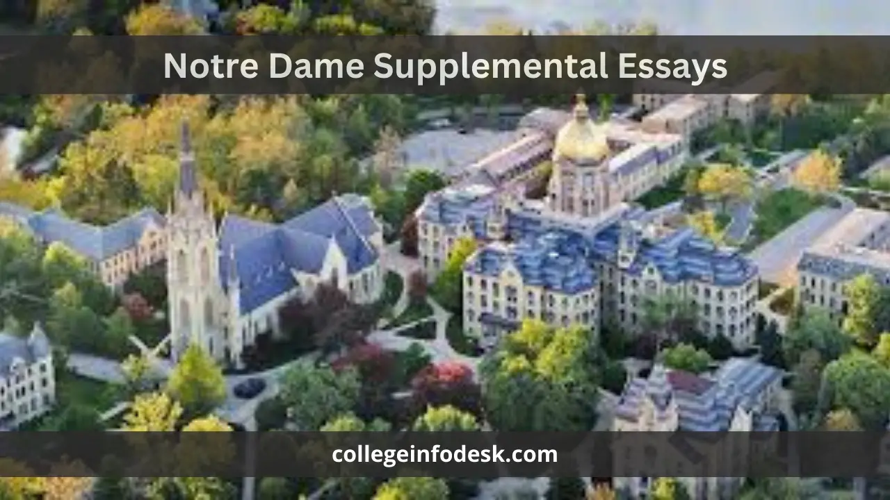 Notre Dame Supplemental Essays