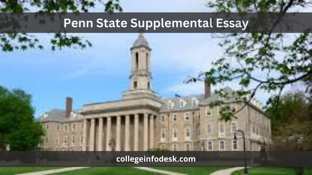 Penn State Supplemental Essay