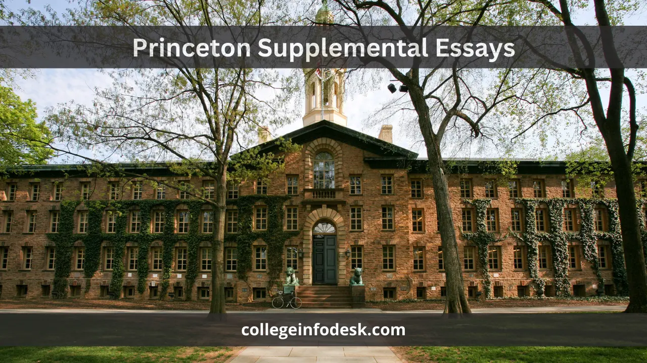 Princeton Supplemental Essays