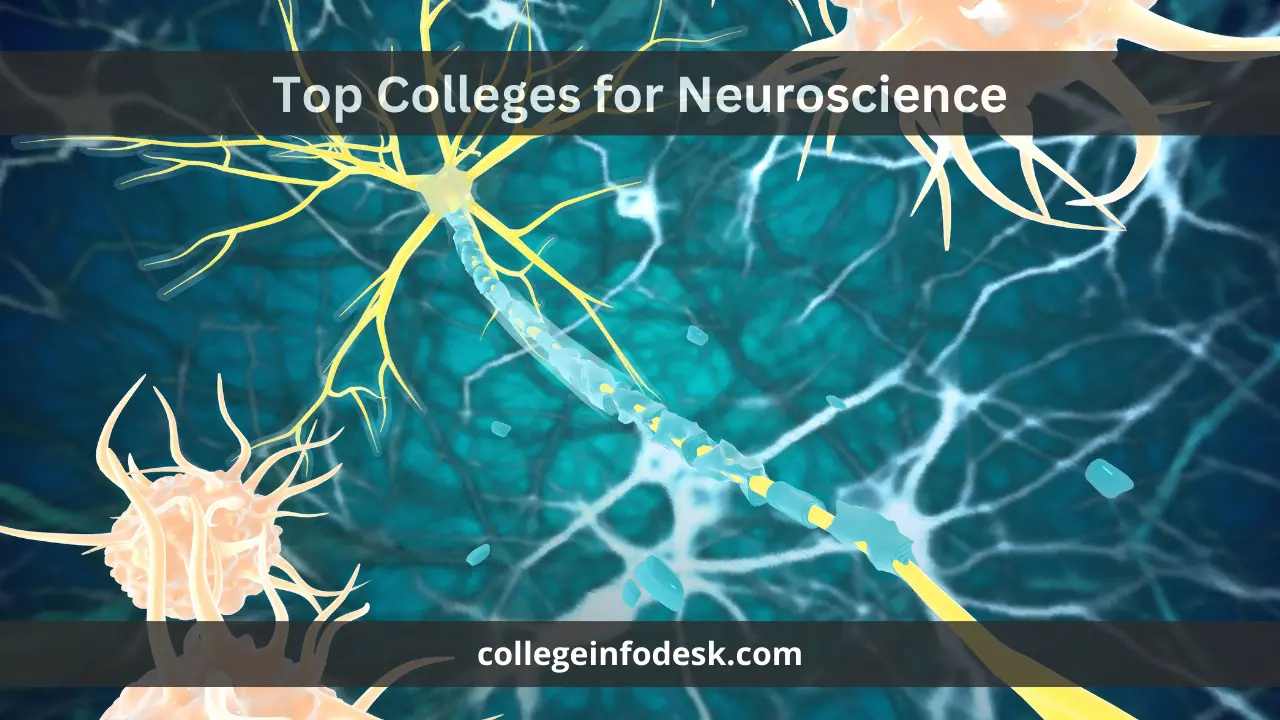 Top Colleges for Neuroscience