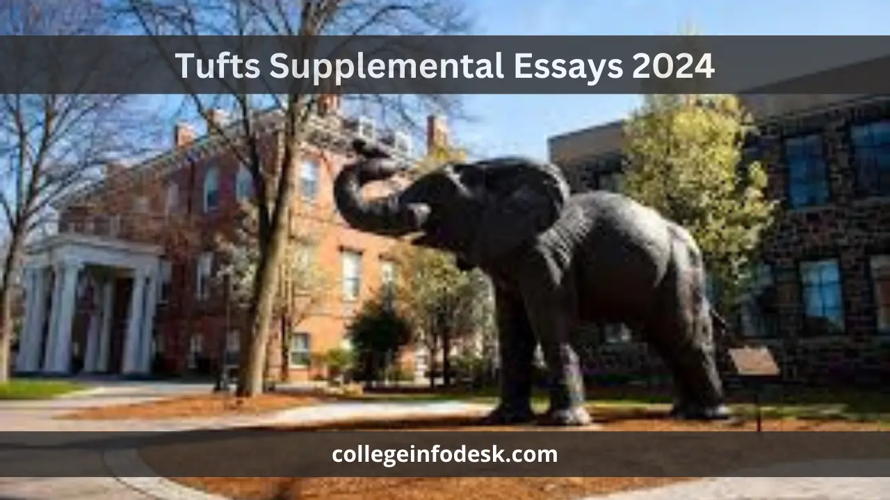 Tufts Supplemental Essays 2024