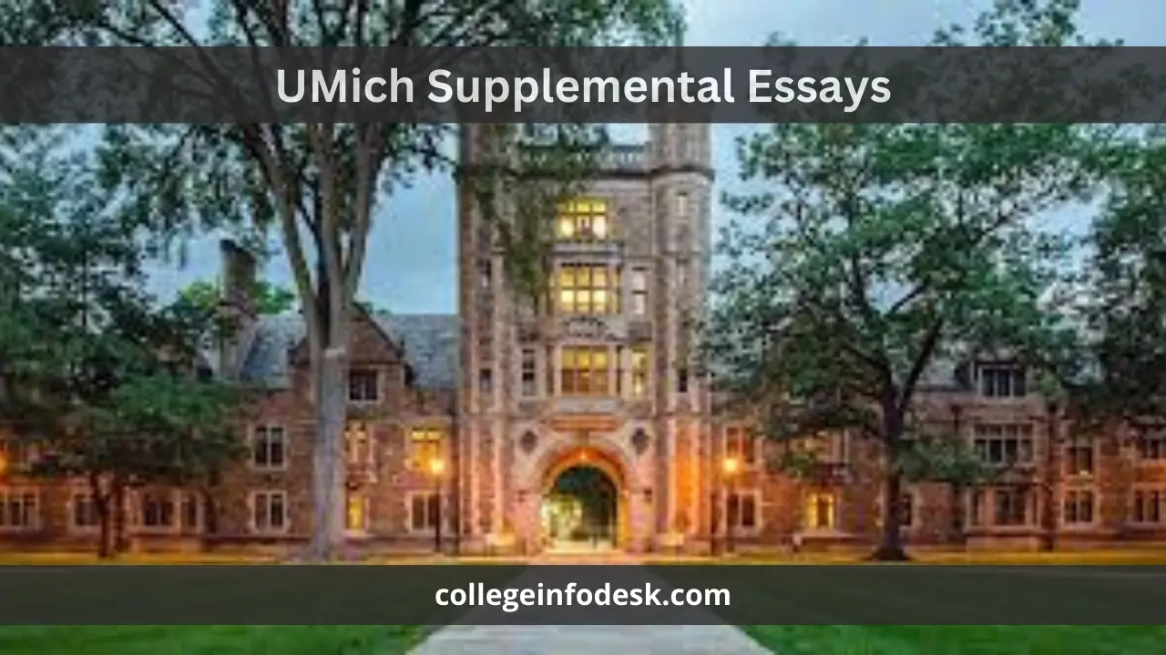 UMich Supplemental Essays