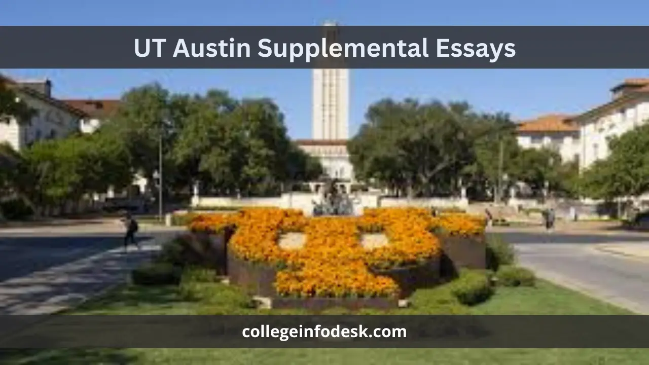 UT Austin Supplemental Essays