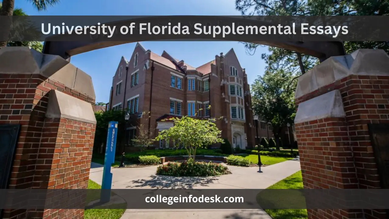 University of Florida Supplemental Essays