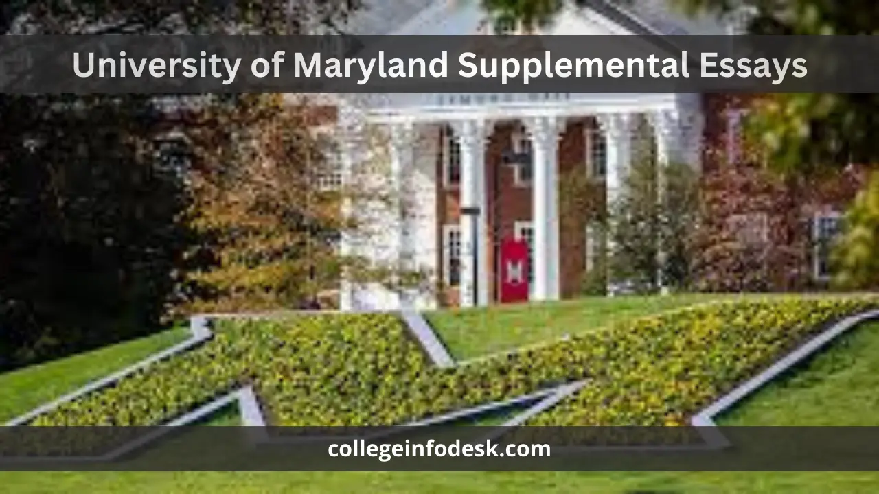 University of Maryland Supplemental Essays