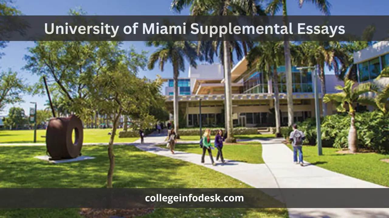 University of Miami Supplemental Essays