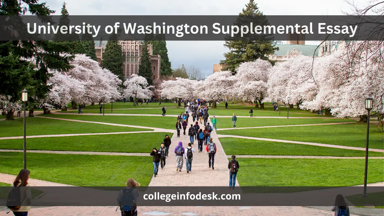 University of Washington Supplemental Essay