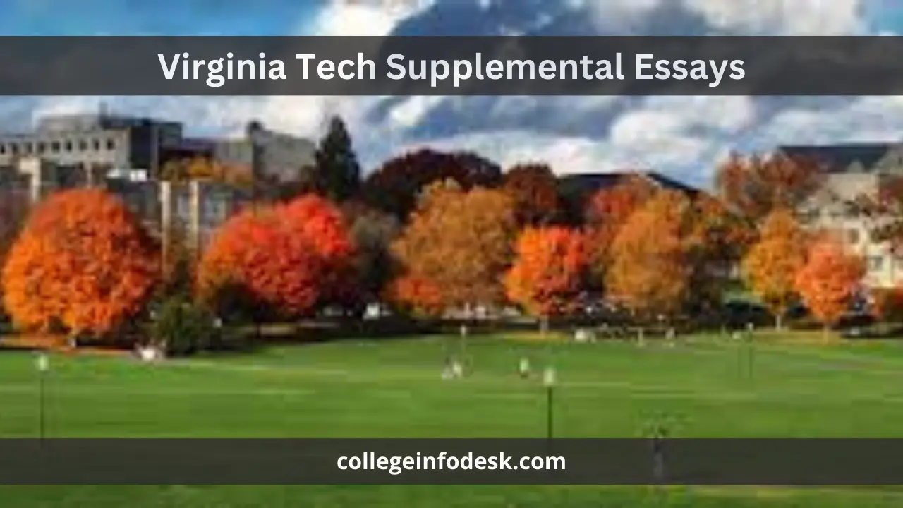 Virginia Tech Supplemental Essays