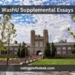 WashU Supplemental Essays