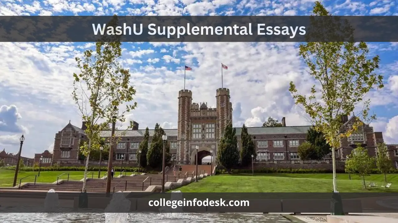 WashU Supplemental Essays