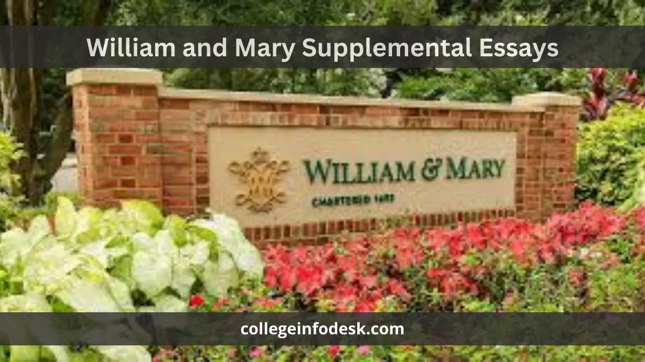William and Mary Supplemental Essays