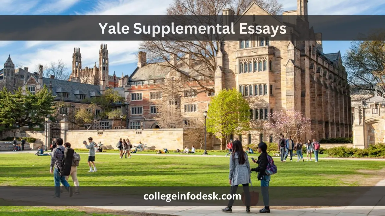 Yale Supplemental Essays