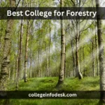 Best College for Forestry